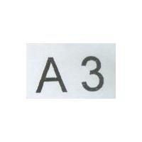 A3