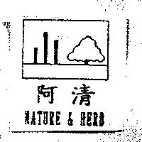 阿清 Nature & herb 及圖