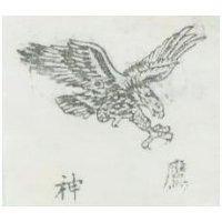 神鷹及圖