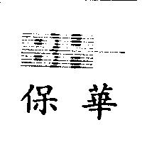 保華 BH 設計圖