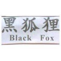 黑狐狸 Black Fox