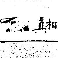 真相 TNN 及圖