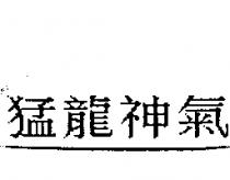猛龍神氣