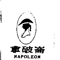 拿破崙 NAPOLEON 及圖