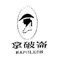 拿破崙 NAPOLEON 及圖