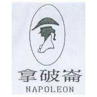 拿破崙 NAPOLEON 及圖