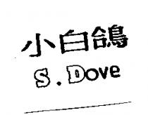 小白鴿 S.DOUE
