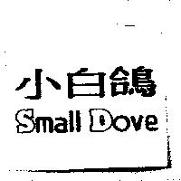 小白鴿 SMALL DOVE