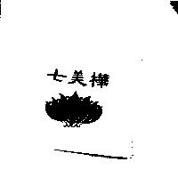 七美樺及圖
