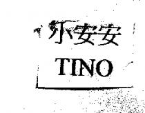 小安安 TINO