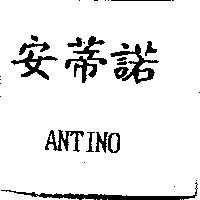 安蒂諾 ANTINO