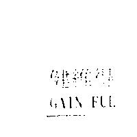 健維得 GAIN-FUL