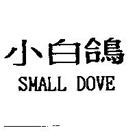 小白鴿 SMALL DOVE