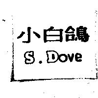 小白鴿 S.DOVE