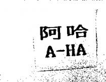 阿哈 A-HA