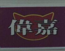 偉嘉& Device