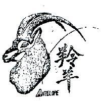 羚羊及圖 ANTELOPE 