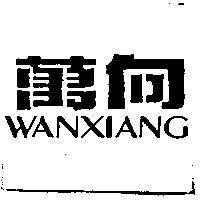萬向 WANXIANG