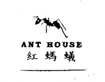 紅螞蟻 ANT HOUSE 及圖