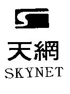 天網及圖 SKYNET