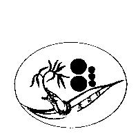 舒筋露及圖