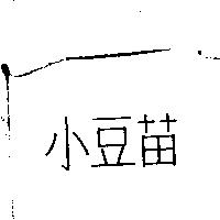 小豆苗