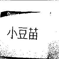 小豆苗
