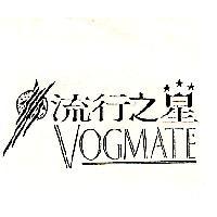 流行之星 VOGMATE 及圖