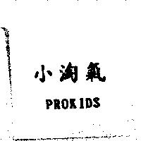 小淘氣 PROKIDS