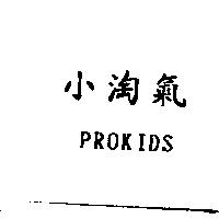 小淘氣 PROKIDS