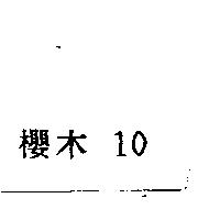 櫻木 10