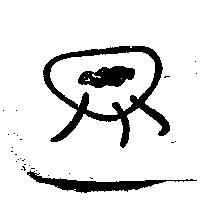 三毛圖