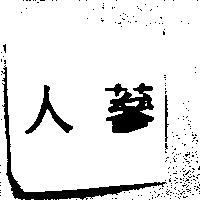 人蔘
