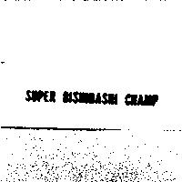 SUPER BISHIBASHI CHAMP