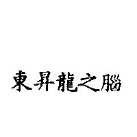 東昇龍之腦