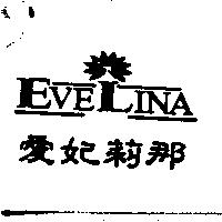 愛妃莉那 EVELINA 及圖