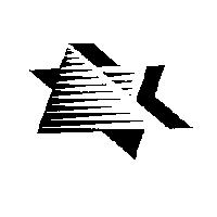 飛星國際電信事業有限公司標章