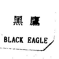黑鷹 BLACK EAGLE