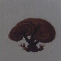 靈芝圖
