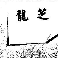 龍芝