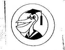 信天翁圖