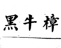 黑牛樟