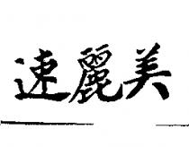 速麗美