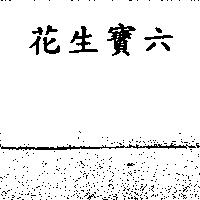 花生寶六