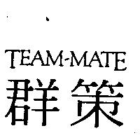 群策 TEAM-MATE