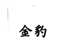 金豹