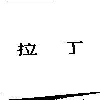 拉丁