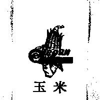 玉米及圖 CORN