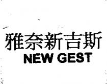 雅奈新吉斯 NEW GEST