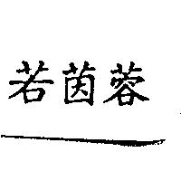 若茵蓉